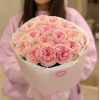 15 pcs.  - 6000.0000 