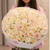 51 pcs.  + 5770.0000 