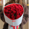 25 pcs.  + 1400.0000 