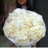 7 pcs.  + 2400.0000 