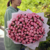 101 pcs.  + 28750.0000 