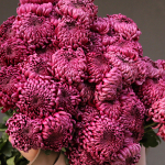 Monobouquet with chrysanthemum MONO 96