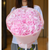 5 pcs.  + 1200.0000 