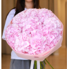 9 pcs.  + 3400.0000 