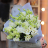 11 pcs.  + 0.0000 