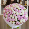 51 pcs.  + 7150.0000 