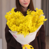 +50%  u 50.0000 