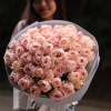 51 pcs.  + 11620.0000 
