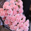 51 pcs.  + 3290.0000 