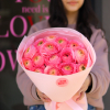 15 pcs.  + 1500.0000 