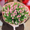 101 pcs.  + 6940.0000 