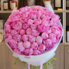 51 pcs.  + 7920.0000 