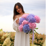 Monobouquet of hydrangeas MONO 122