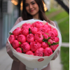 25 pcs.  + 1500.0000 