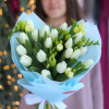 25 pcs.  + 0.0000 