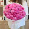 31 pcs.  + 3520.0000 