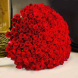 MONO 87 Monobouquet of 501 red roses