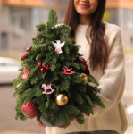 Декоративна ялиночка з данської хвої сорту Нобіліс Christmas decor 16