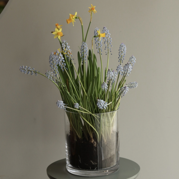 Easter composition with daffodils and muscari Easter composition 03